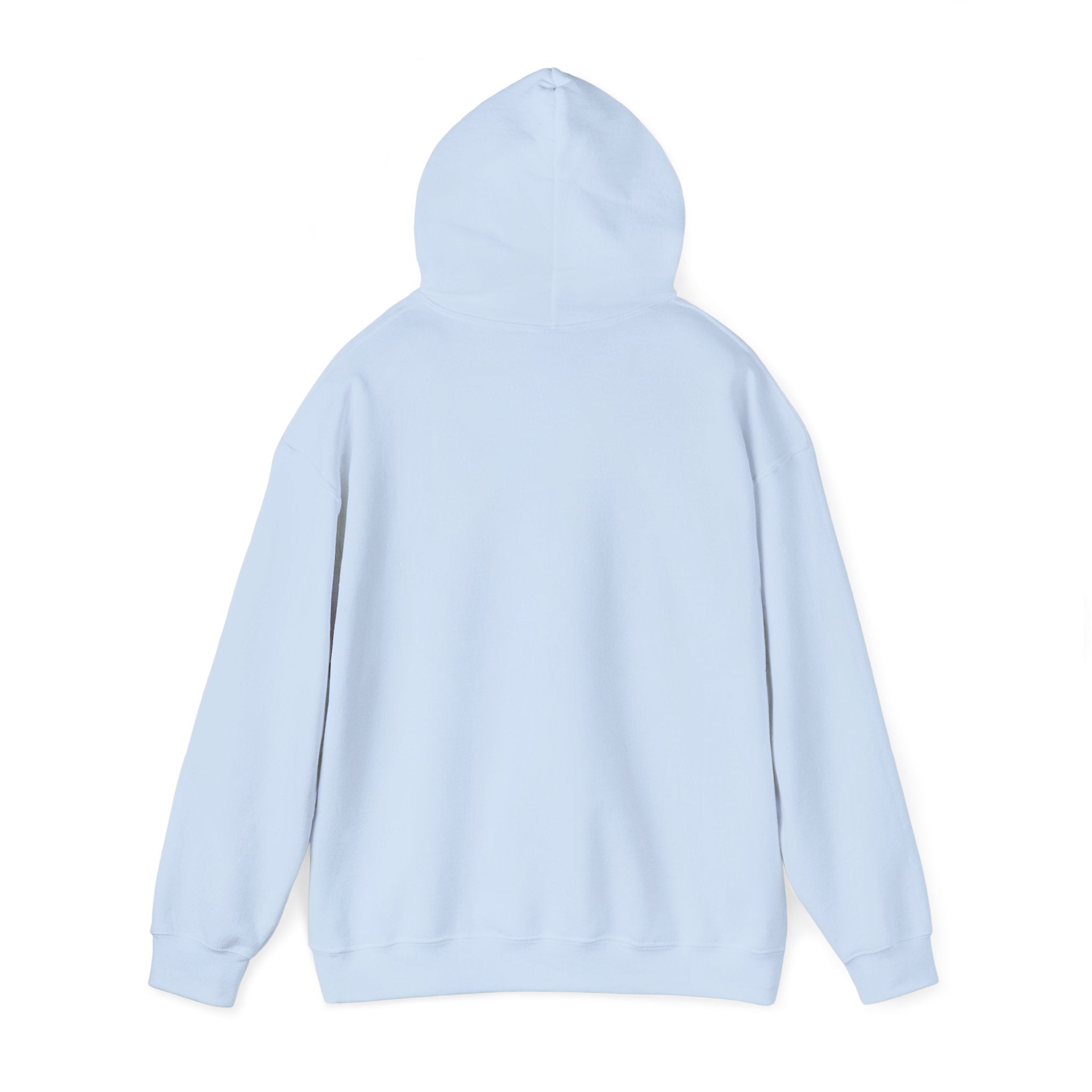 Unisex heavy blend hoodie with "I Am a Daughter of the King" slogan, featuring a front pocket and hood, by Printify.