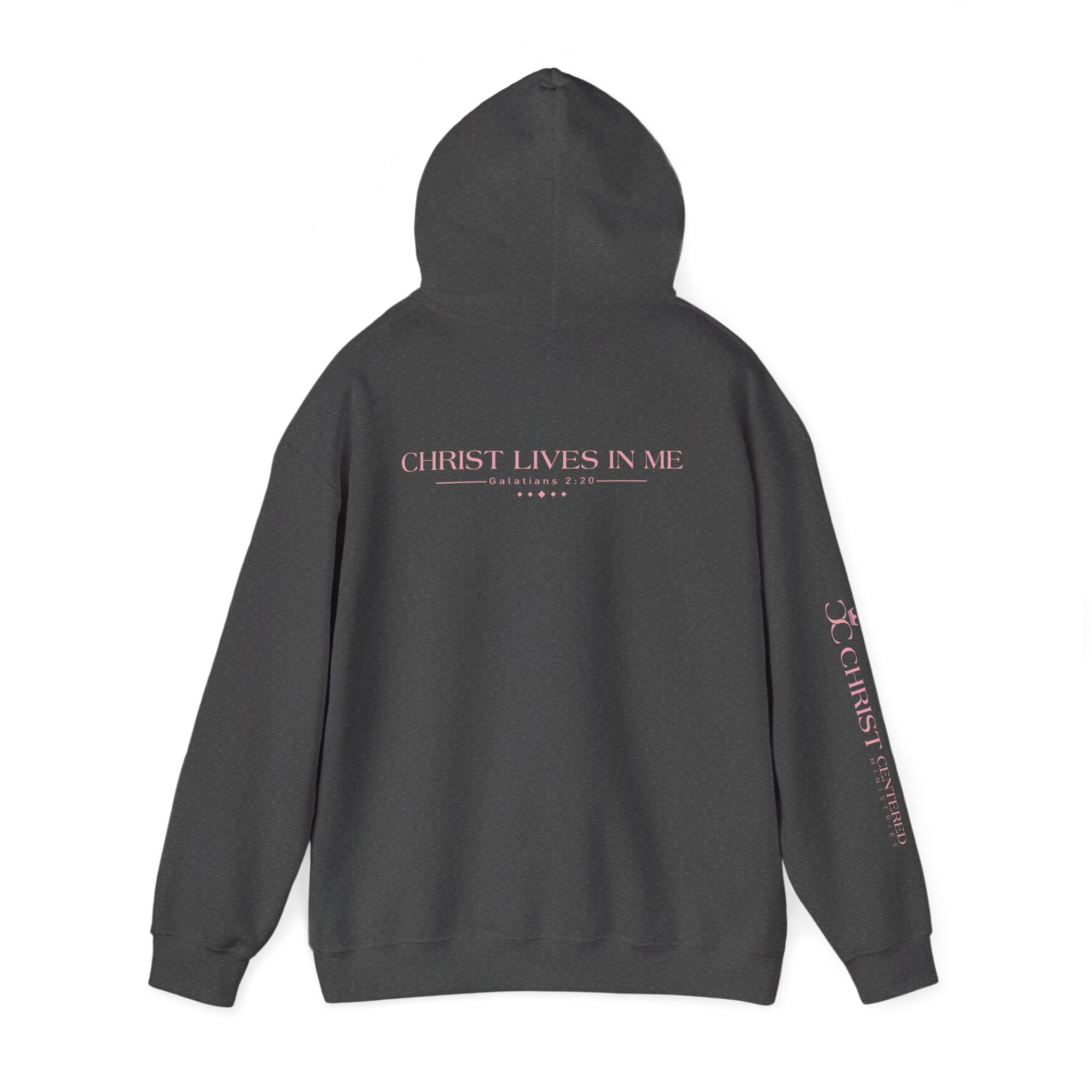 JESUS: Unisex Heavy Blend™ Hooded Sweatshirt: Christ Lives in Me-thumbmail-5