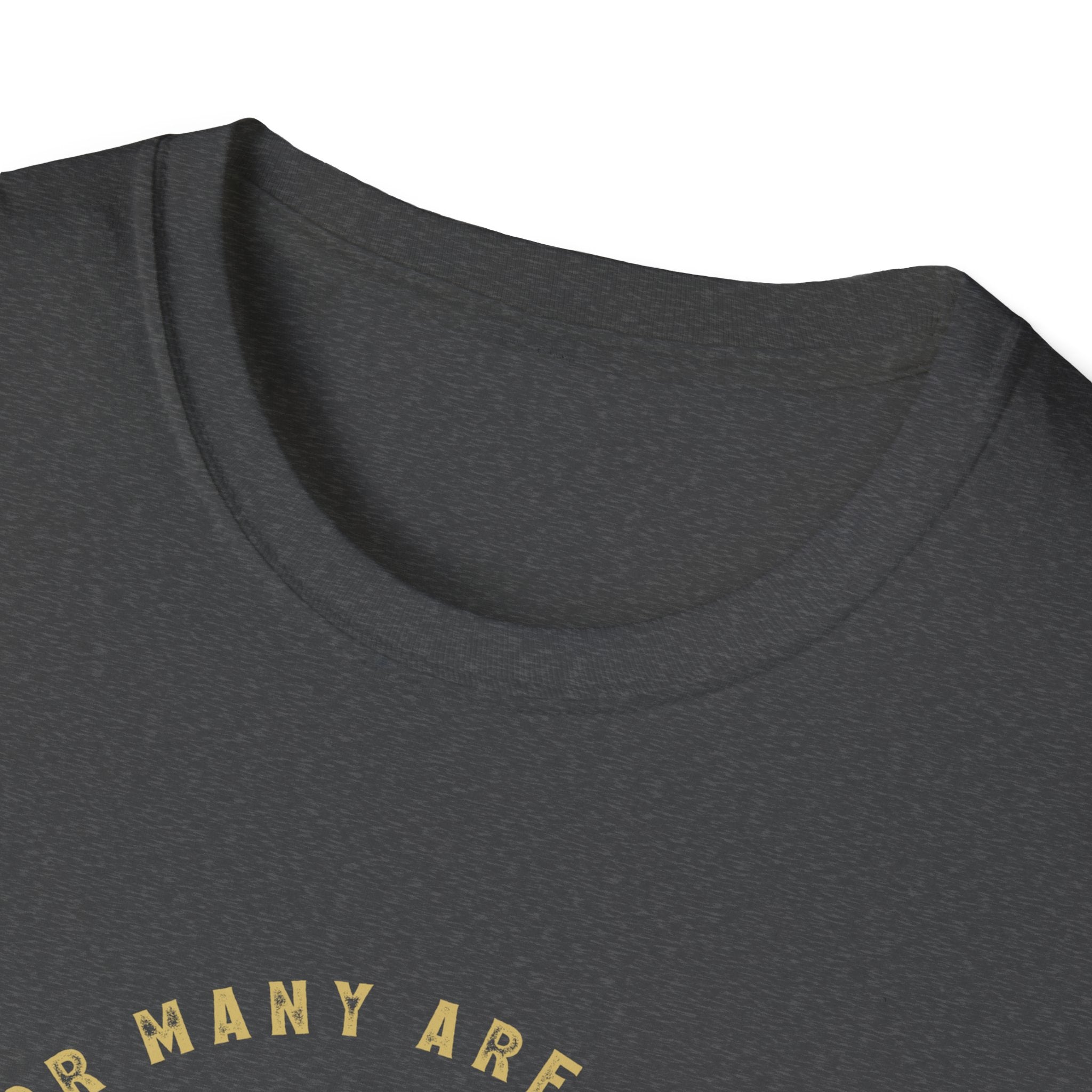 Unisex softstyle T-shirt by Printify featuring the "I Am Chosen" design, shown in a casual fit on a plain background.