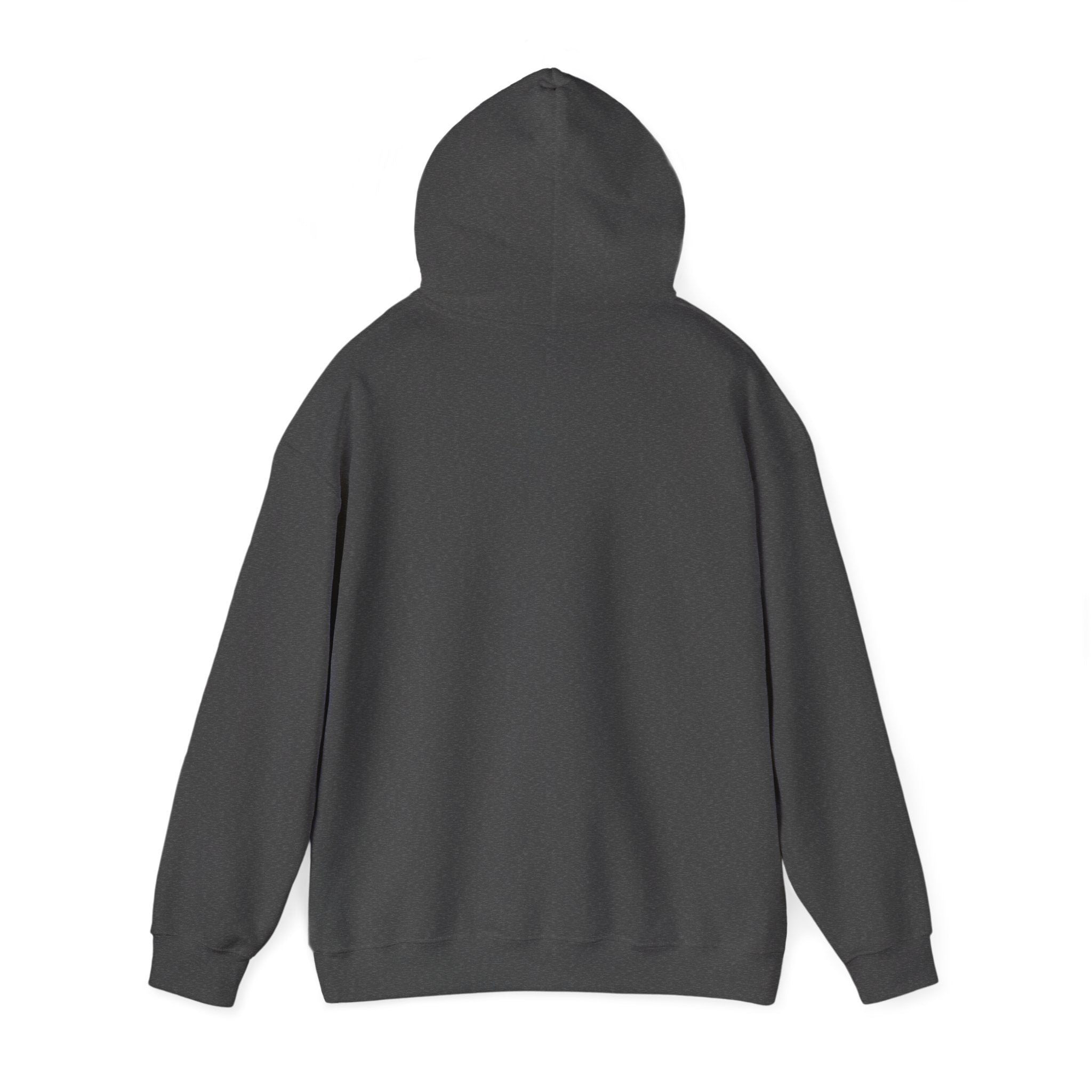 Unisex Heavy Blend hoodie featuring the "Who the Son Sets Free is Free Indeed" design in bold text on front.