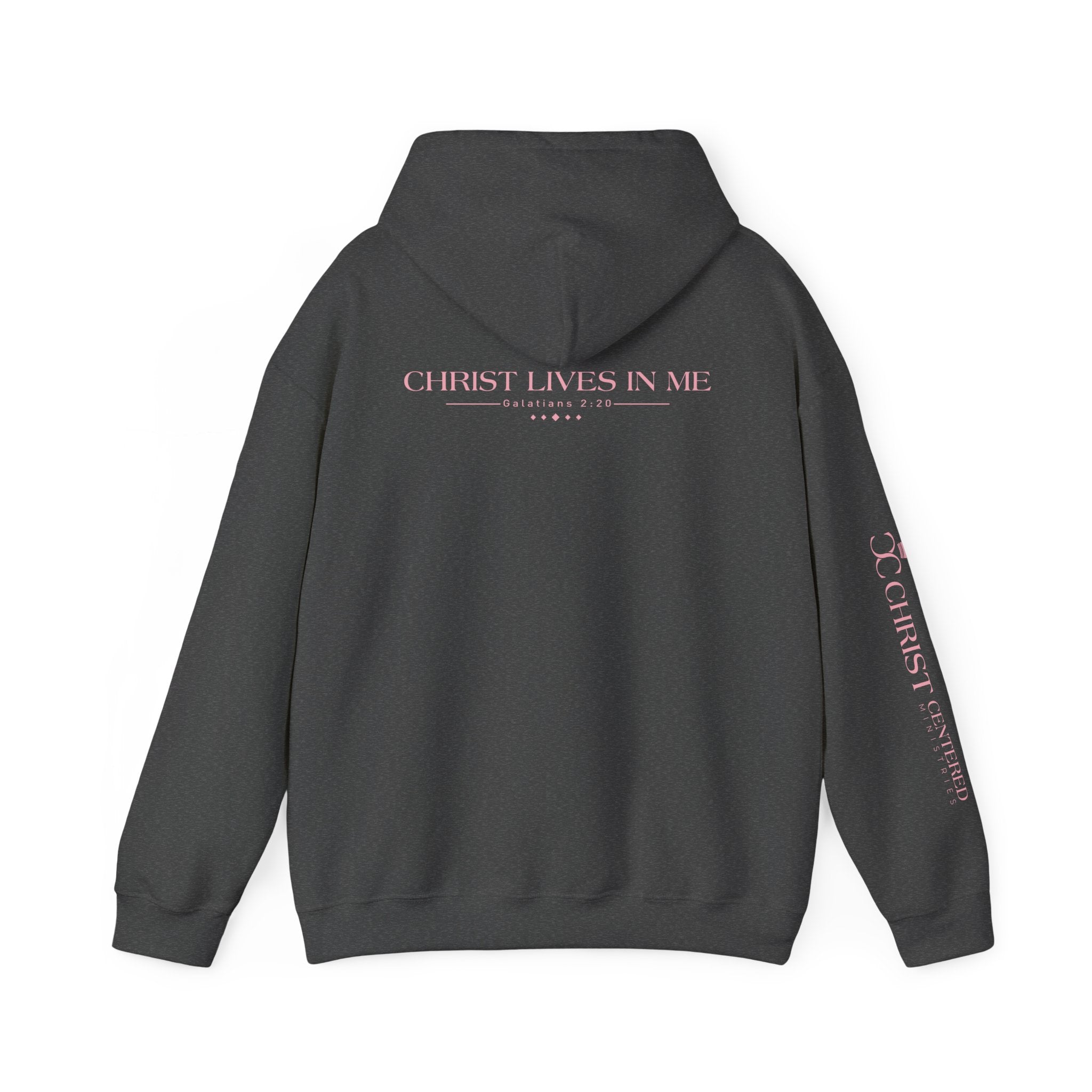 JESUS: Unisex Heavy Blend™ Hooded Sweatshirt: Christ Lives in Me-thumbmail-4